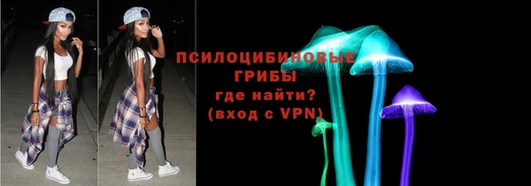 не бодяженный Лабытнанги
