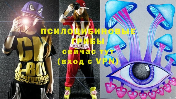 не бодяженный Лабытнанги