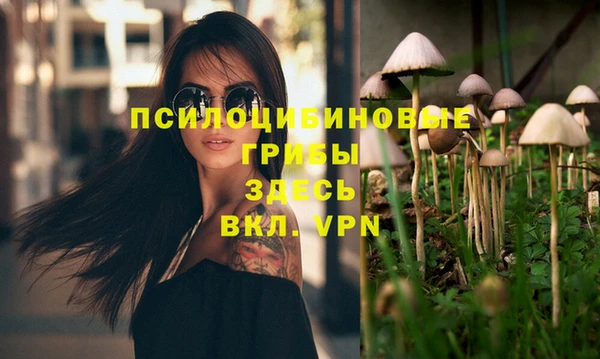 тгк Ладушкин