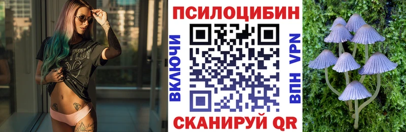 Купить  Альметьевск  Псилоцибиновые грибы мицелий 